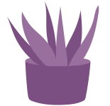 Indoor Plants